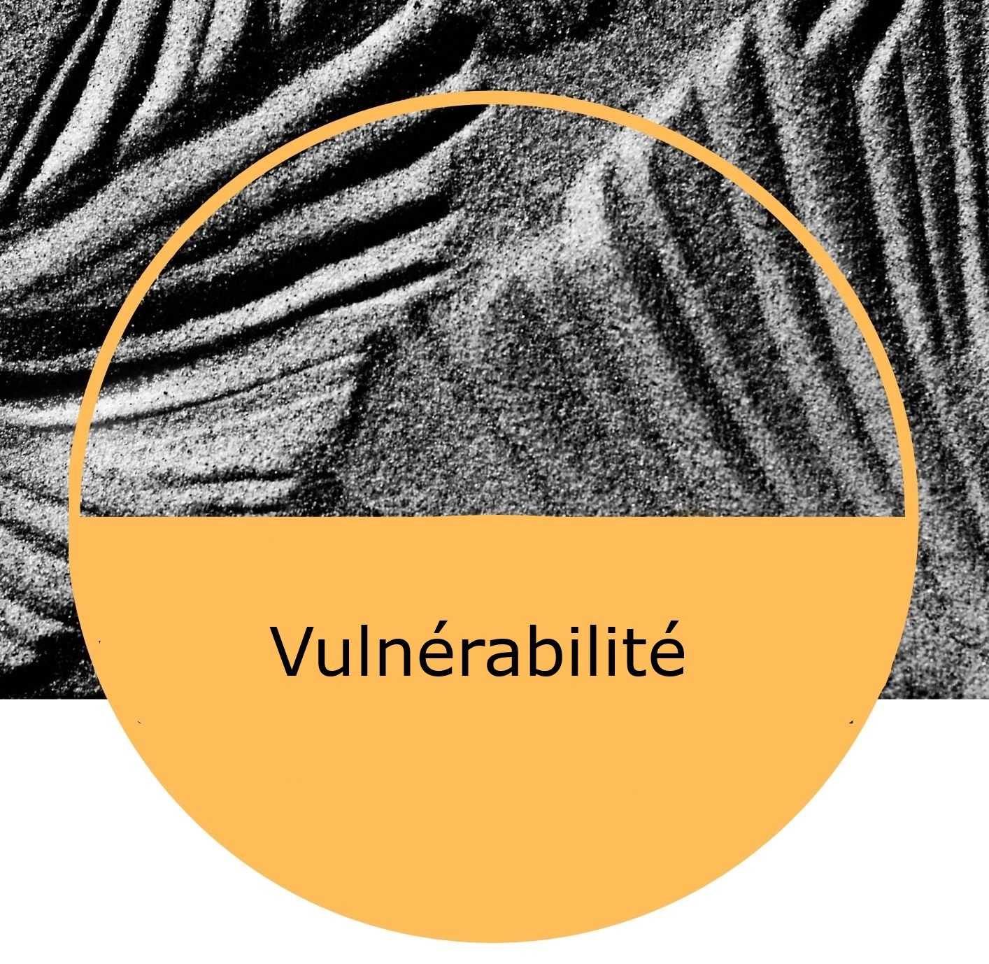 Image flyer vulnérabilité